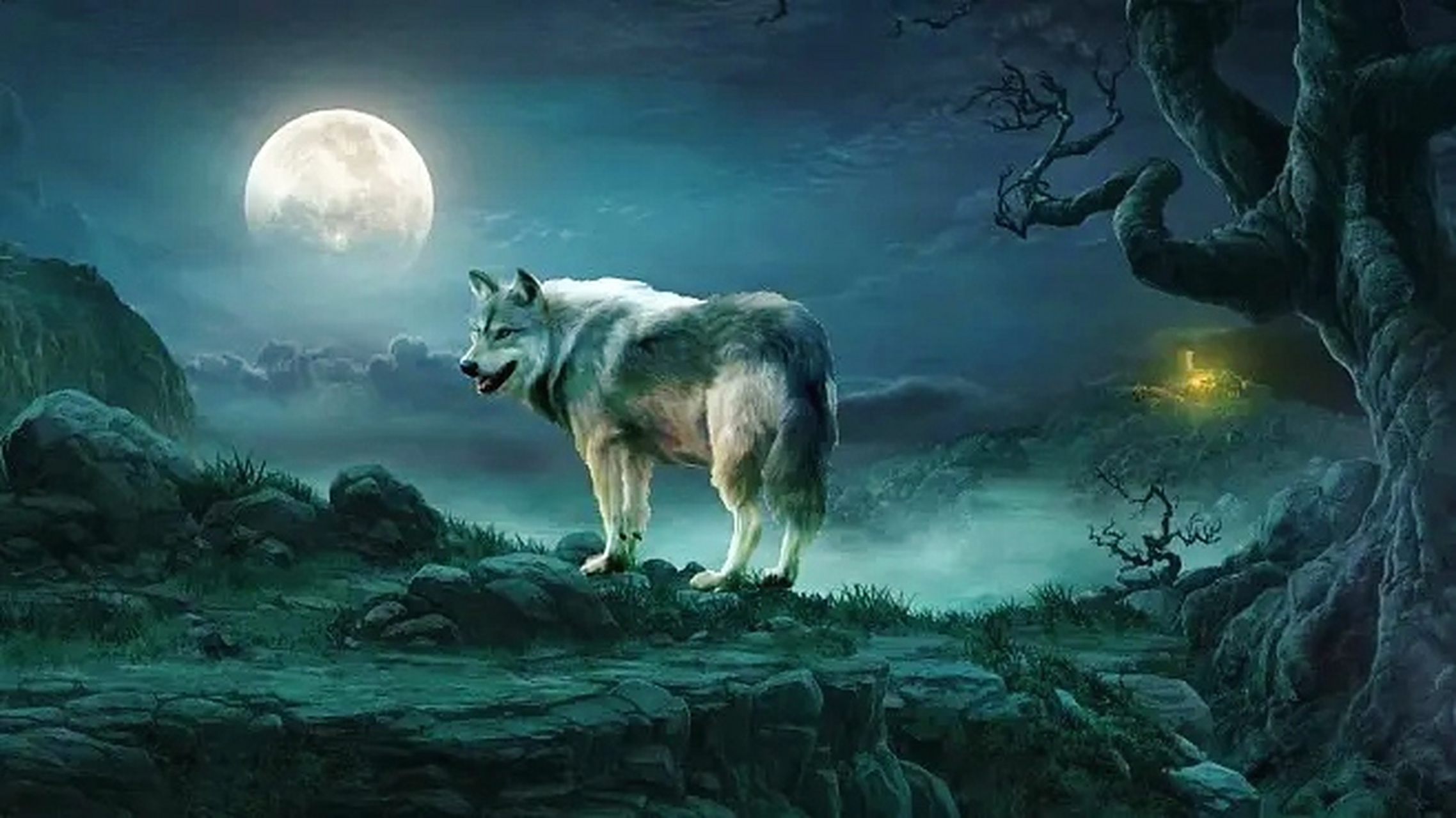 狼在月夜中巡游,眼神犹如璀璨的星辰,充满了对生活的热爱和对未来的