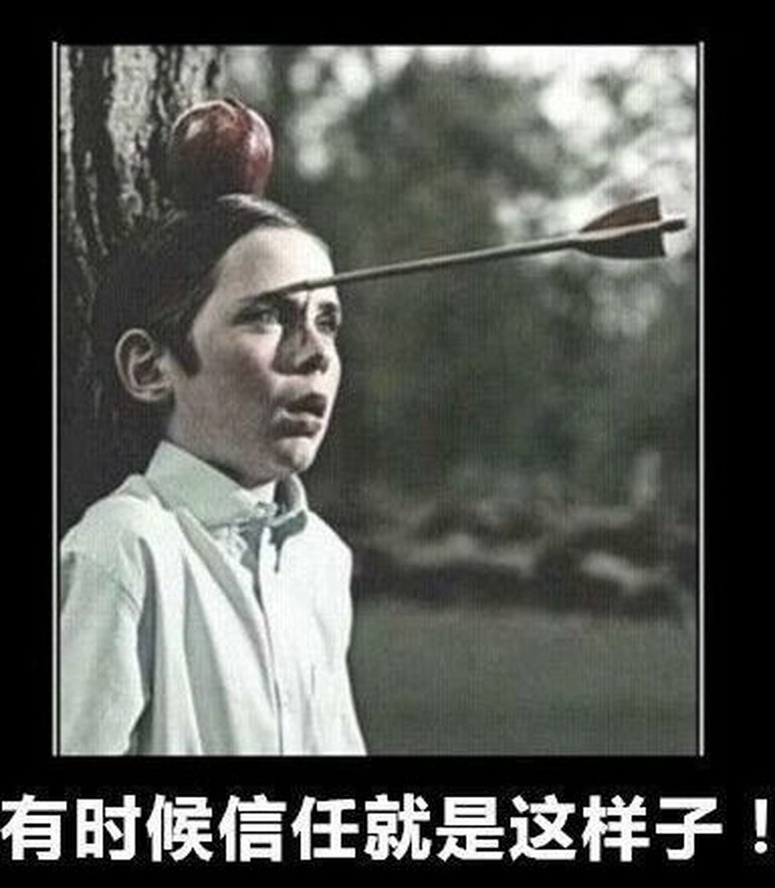 人与人之间的信任[三哈]#搞笑表情包# #搞笑