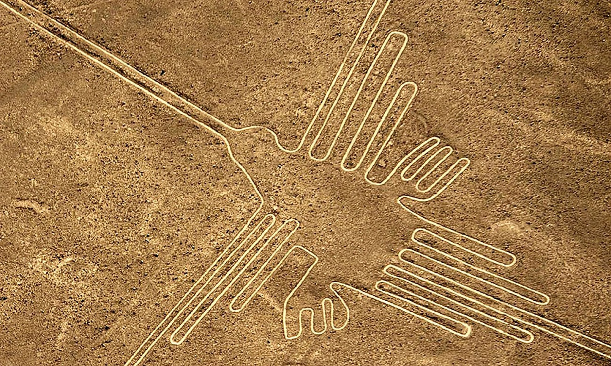 世界未解之谜——纳斯卡线条之谜  在秘鲁的纳斯卡沙漠中,存在着一组