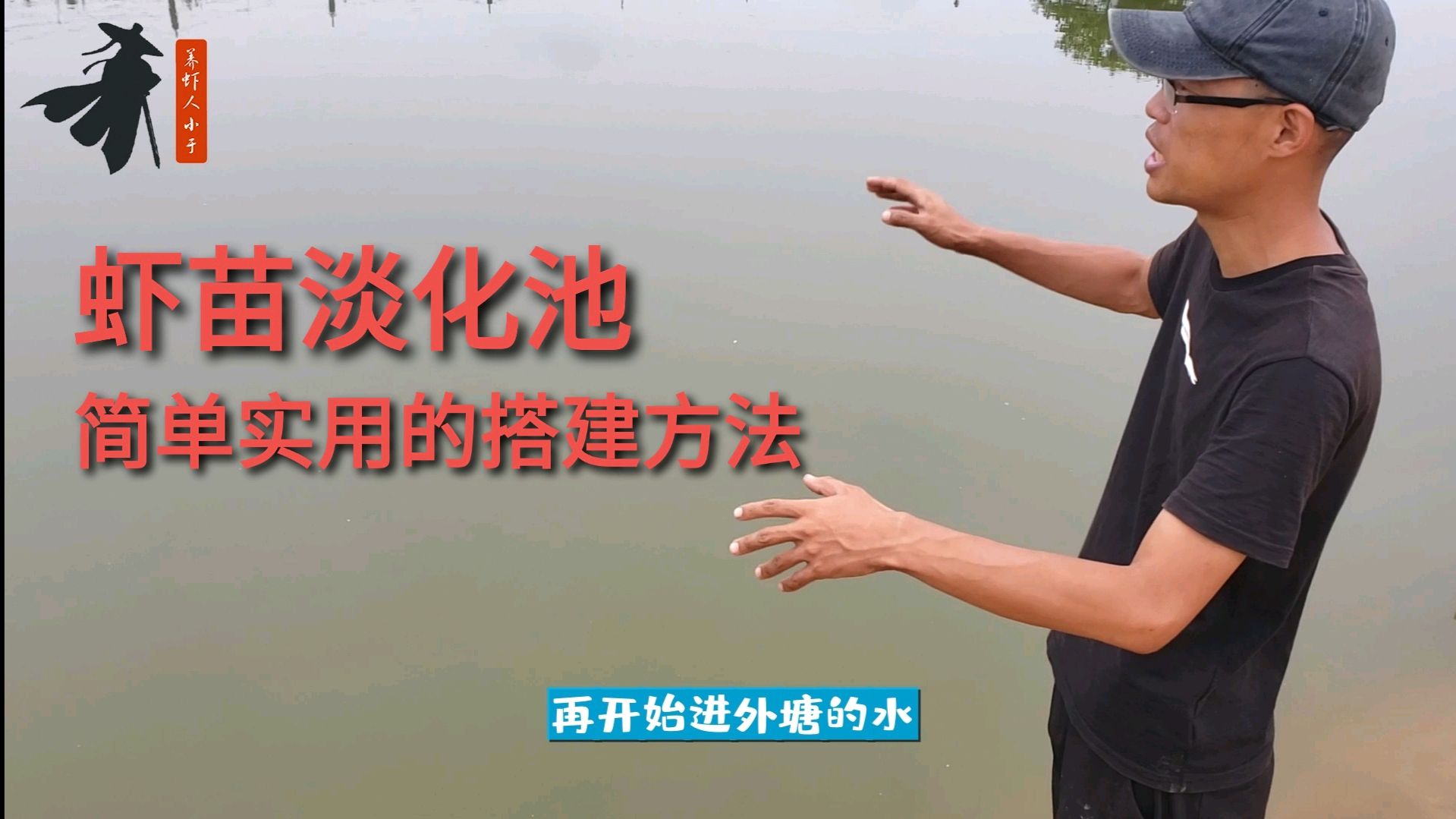 南美白对虾淡水养殖,简单实用的虾苗淡化池搭建方法