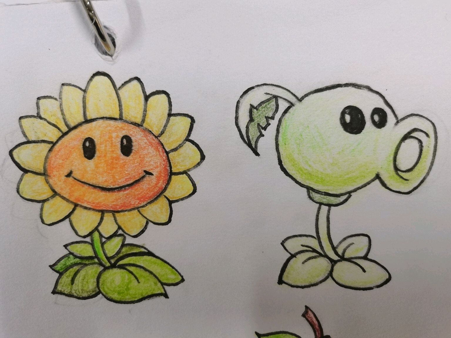 植物大战僵尸绘画