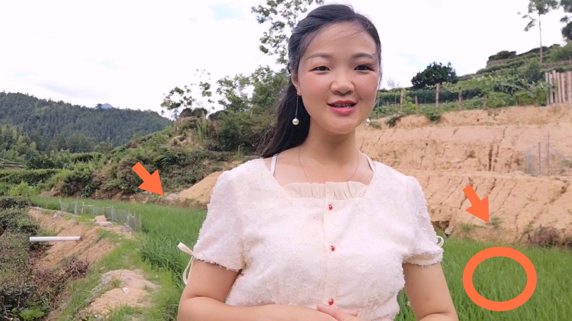农村大叔买了上千条鱼苗放在禾田里,能养活吗?一个月后太惊喜了