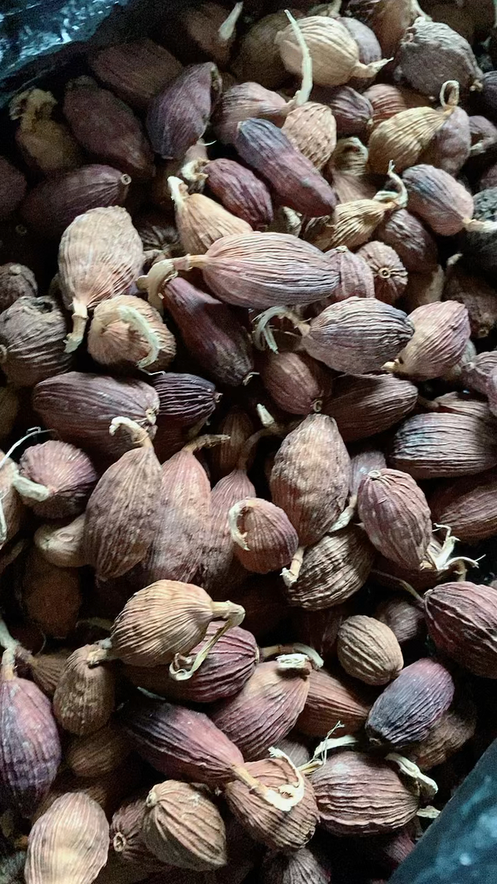 还剩一点干草果