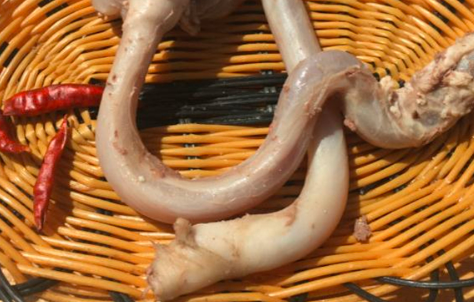 羊鞭炖多长时间能熟 羊鞭的功效与作用