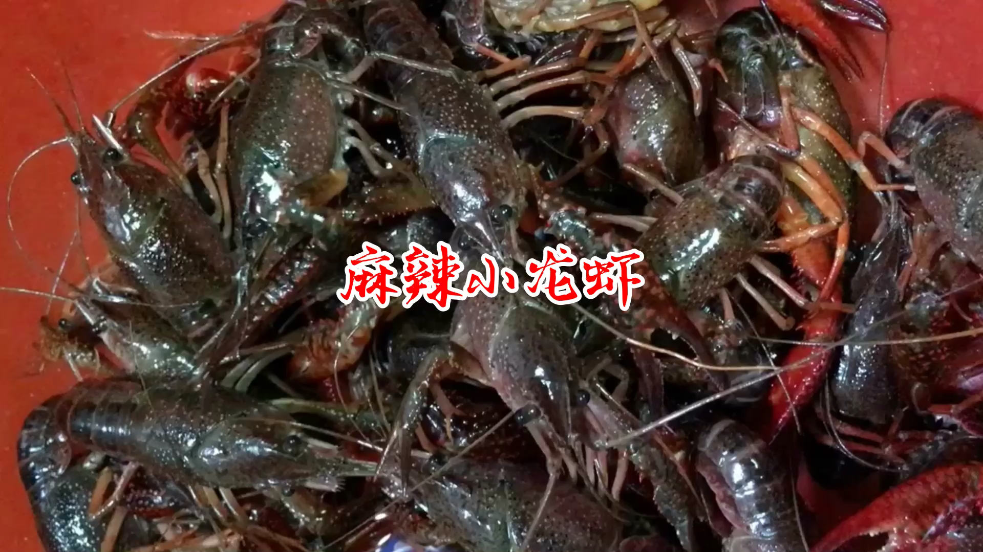 麻辣小龙虾的家常做法,麻辣鲜香,味道正宗,下酒硬菜,简单易学