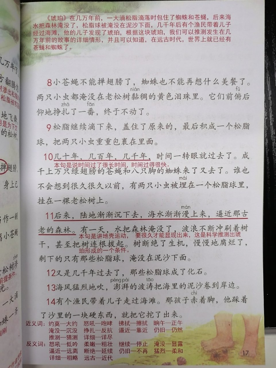 四年级语文下册第五课《琥珀》课堂笔记.