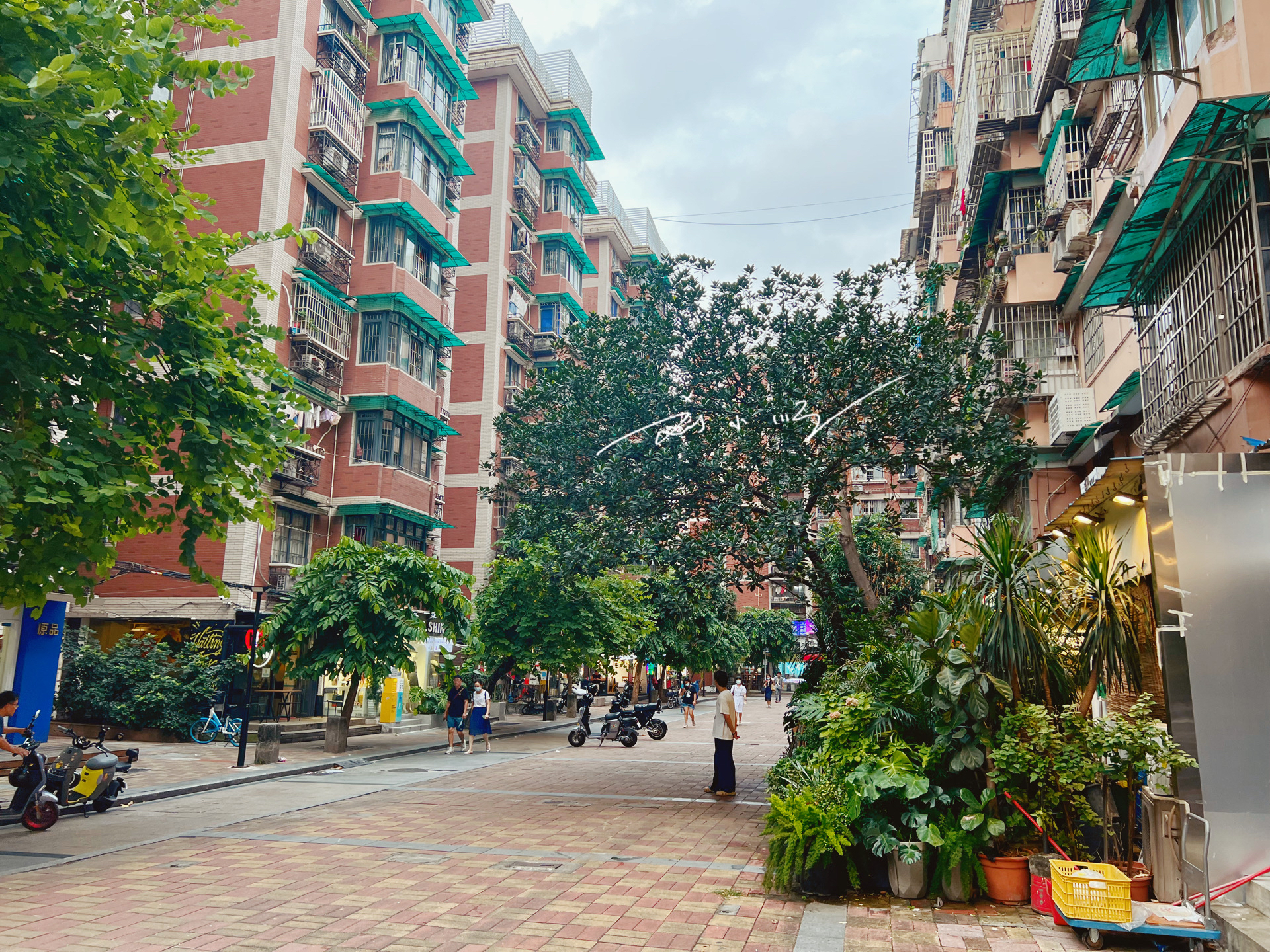 广州天河广场小区图片