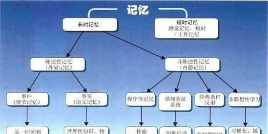 科學角度解讀:晚上睡覺的時候,做亂七八糟的夢的原因如下