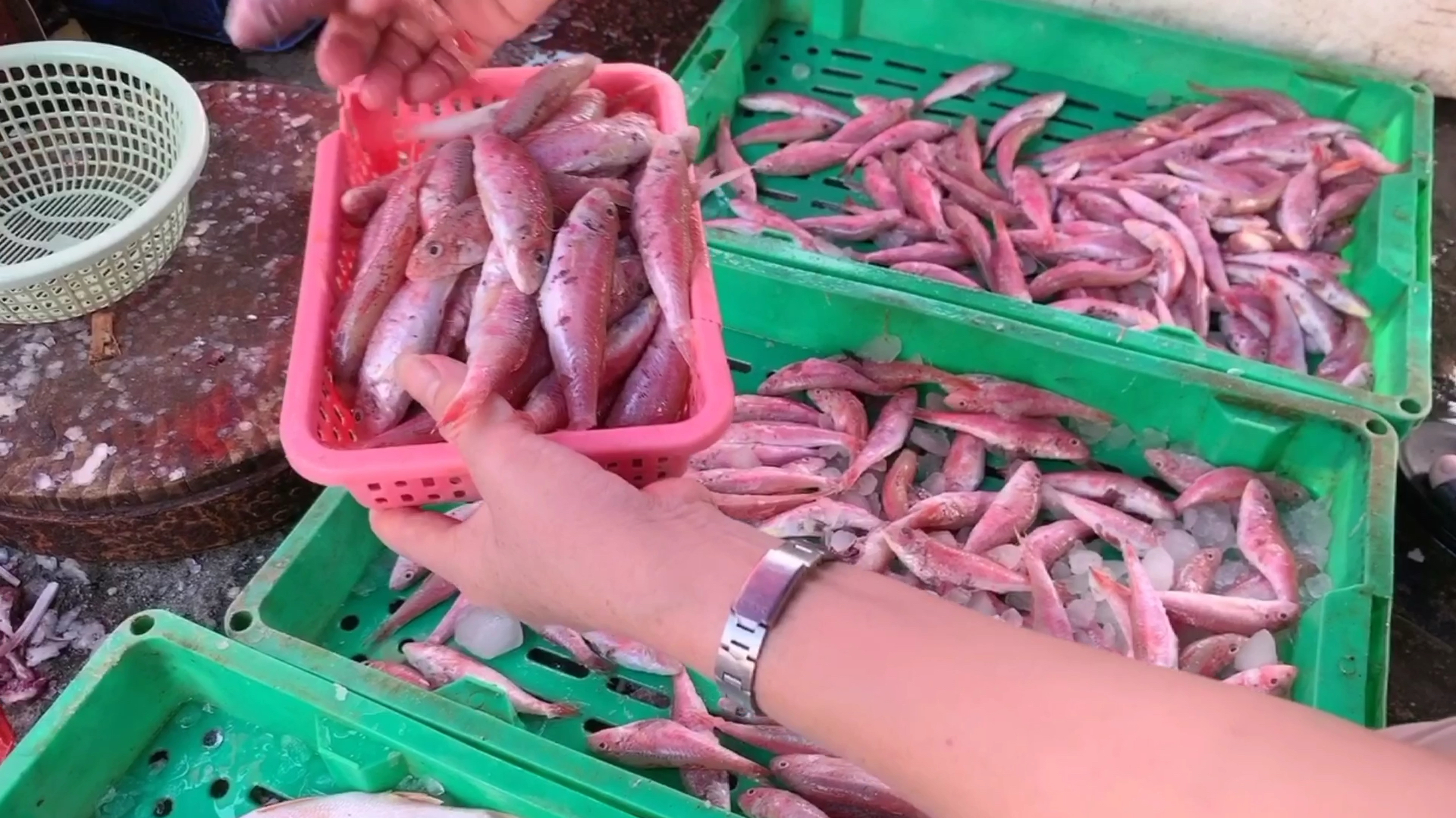 潮汕正宗红鱼你认识吗?汕头婆婆教你这样挑,好吃又新鲜