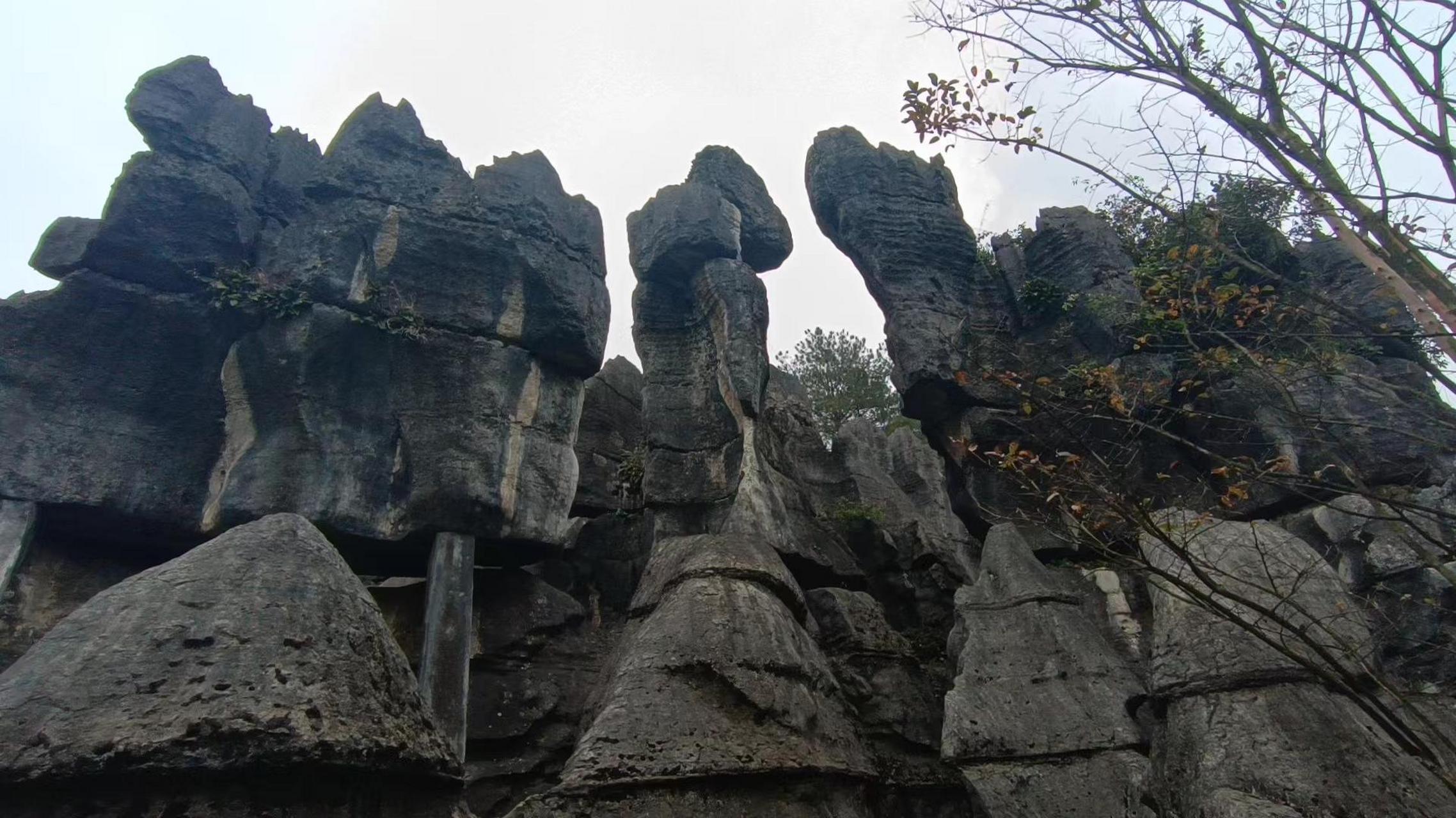 重庆万盛石林  重庆万盛石林风景区位于重庆市綦江区,是我国第二大