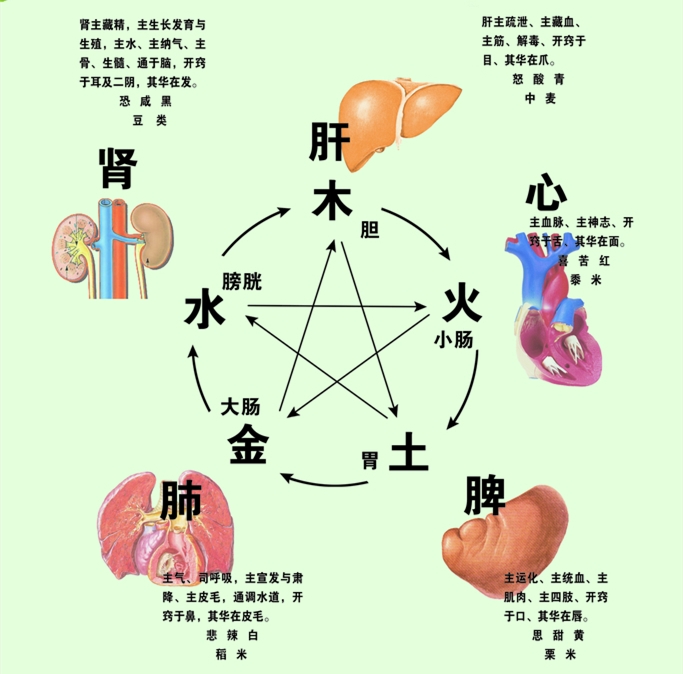 糖友春季养生三部曲系列一畅达情志,保养"生"机