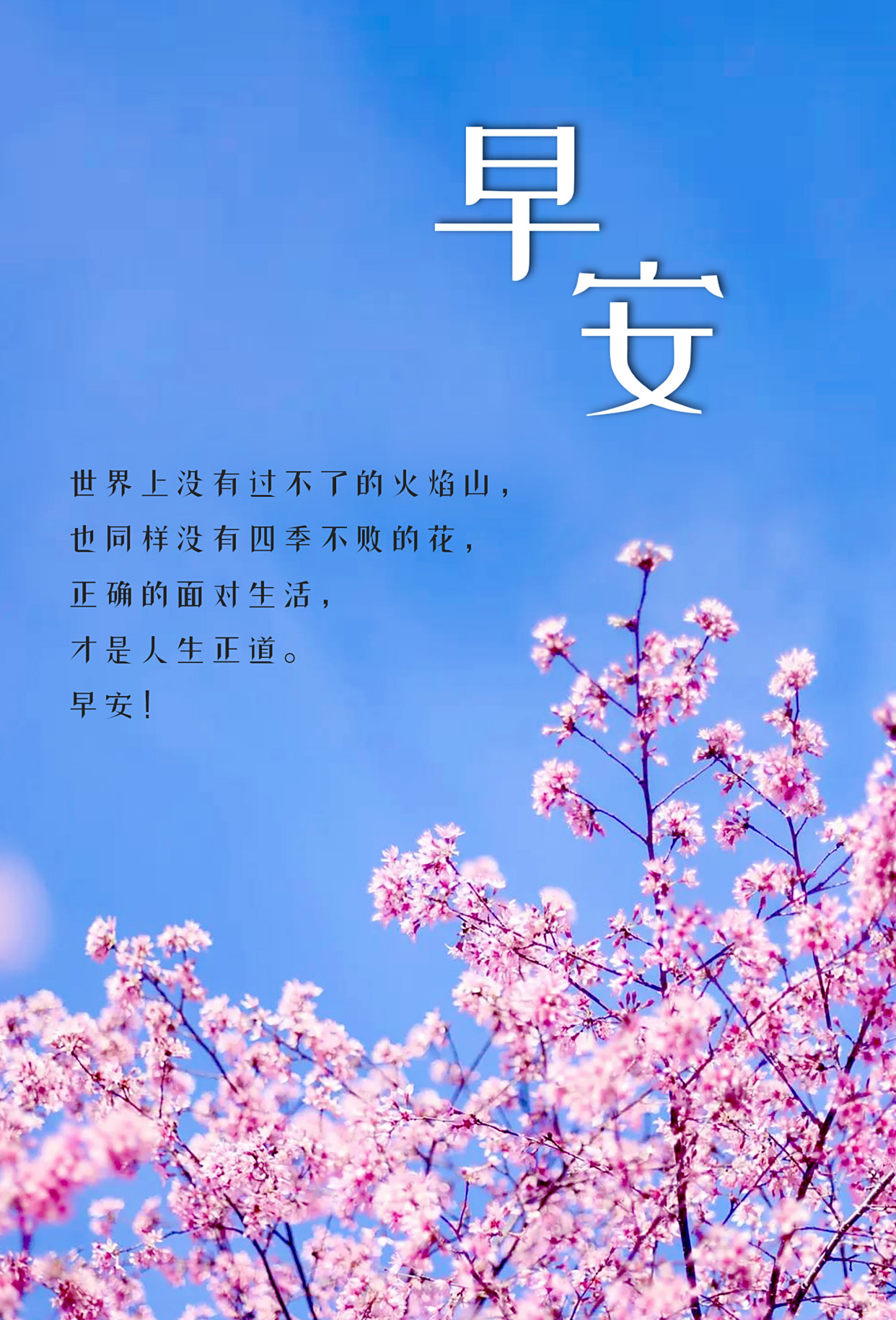 努力加油早安的句子,朋友圈励志早安心语,句句激励你前进!