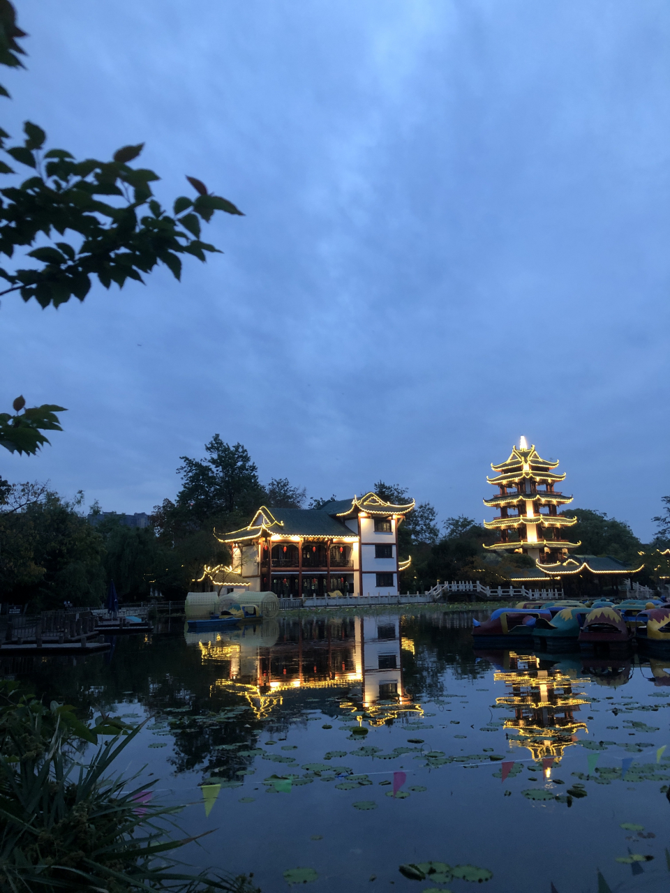 傍晚,你有去公园散步的习惯么?这是桂湖公园的夜景