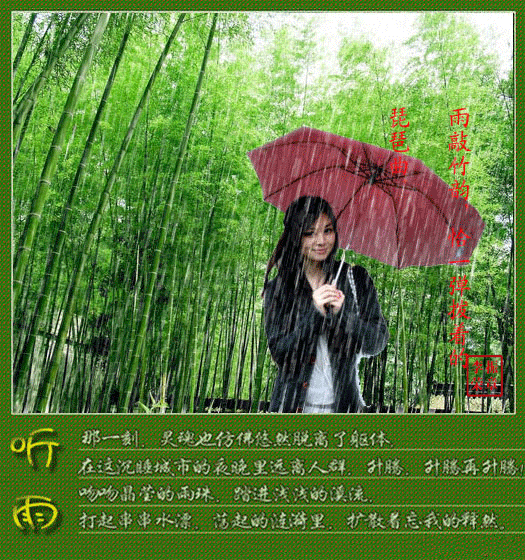 竹林听雨图片头像图片