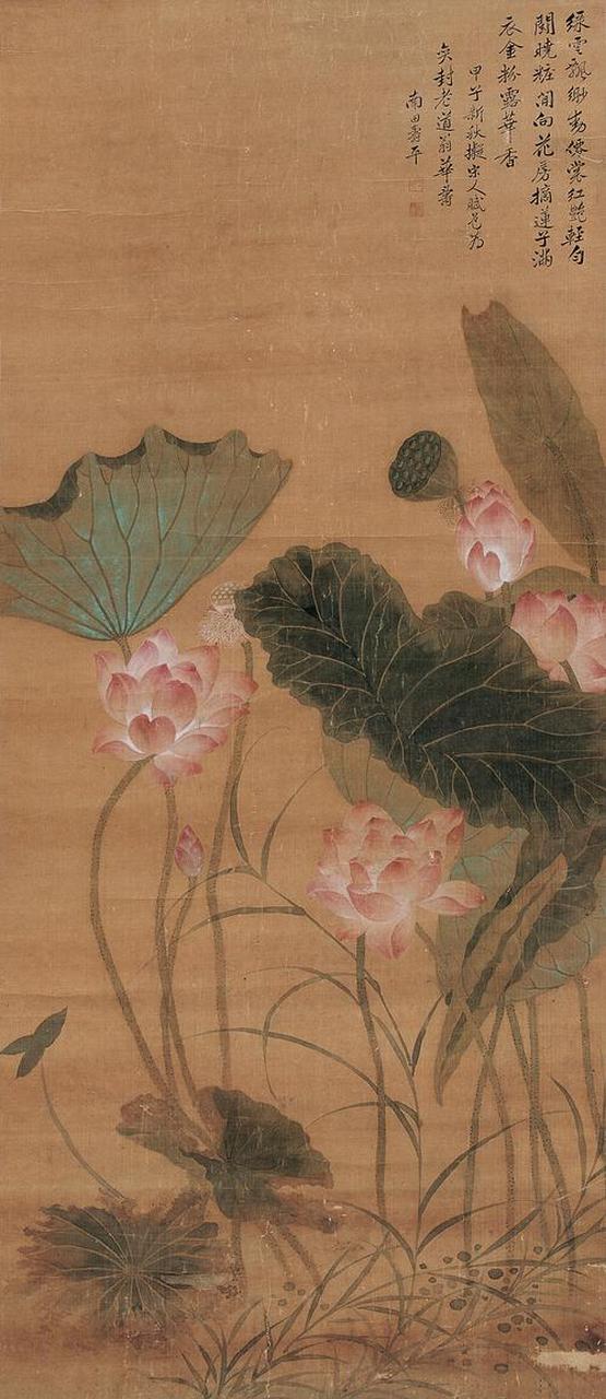 中国花鸟画中的名花卉——莲花【十七】清代名家恽寿平作品欣赏