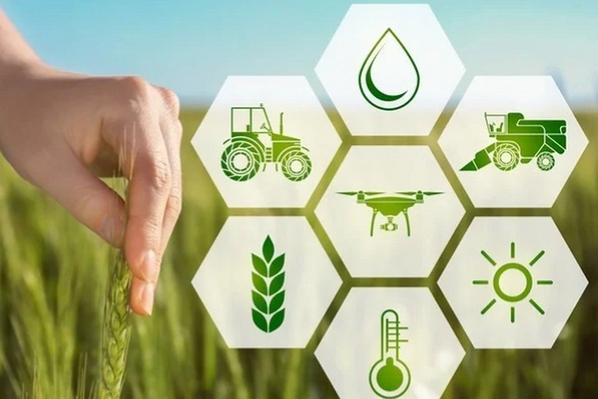 三农# 智慧农业的出现,标志着农业进入了数字智能化时代,也将成为