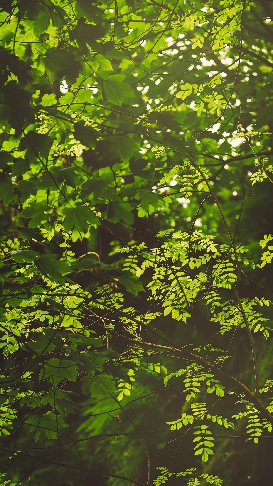 抑郁风景治愈图片