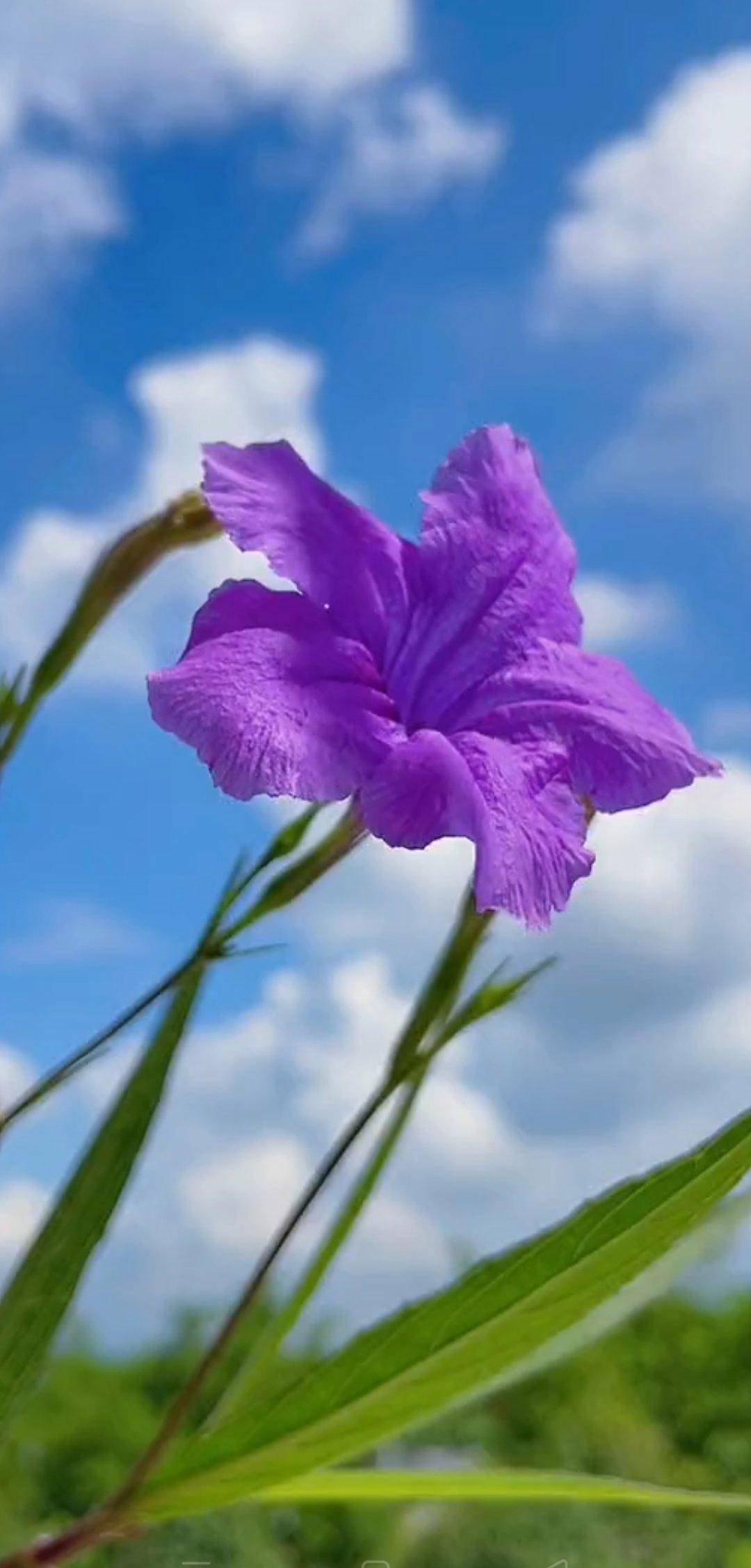 烟火人间,各有遗憾,今天比昨天好,就是希望