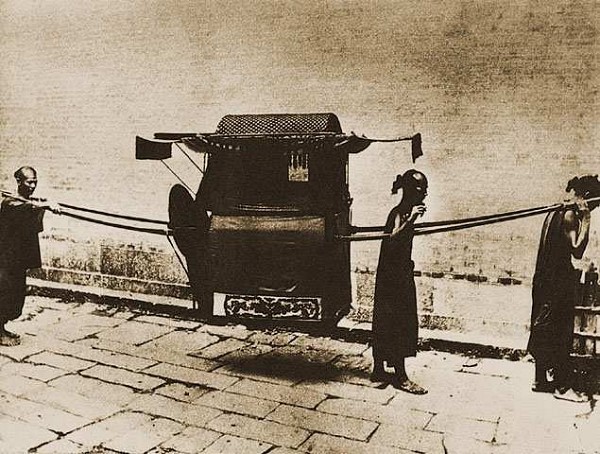 狗坐轿子本无错,错的是人的观念,纠正之后一切就顺眼多了!