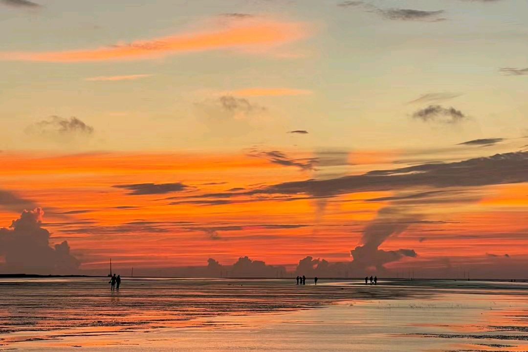 南汇新城海滩:一片纯净的海滩,让你尽享海边的浪漫与激情!