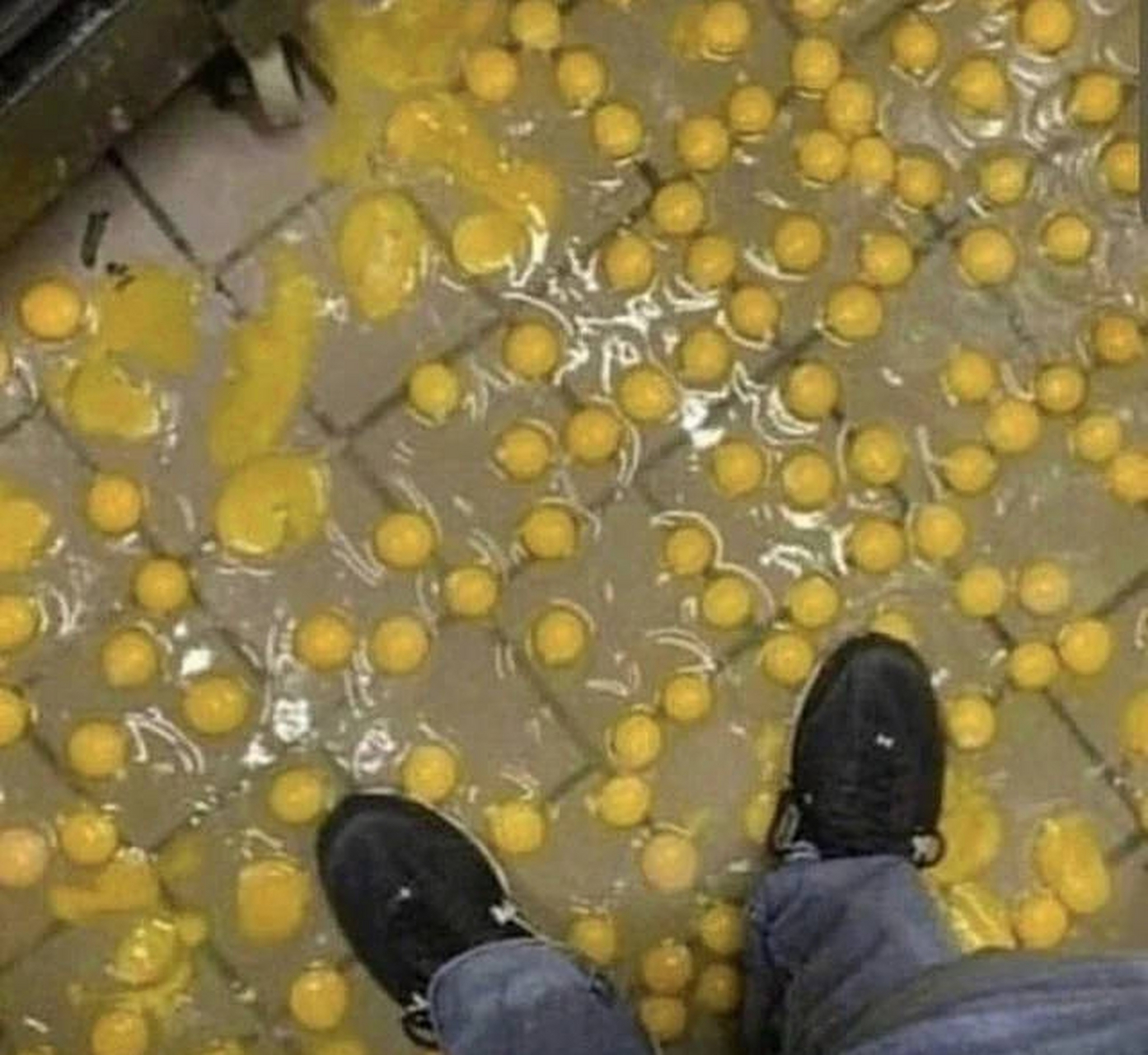 一整盒鸡蛋掉地上如何有效利用,在线等,挺急的