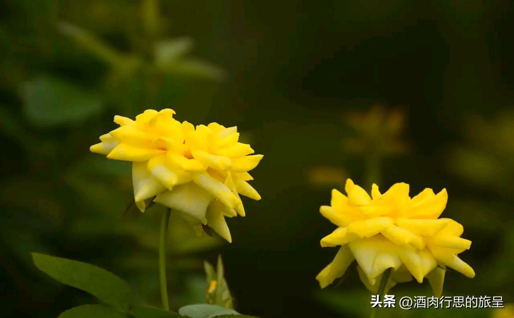 整个得分才4分,这丫头到底怎么啦 当手机上发来一张应用题试卷时,我的