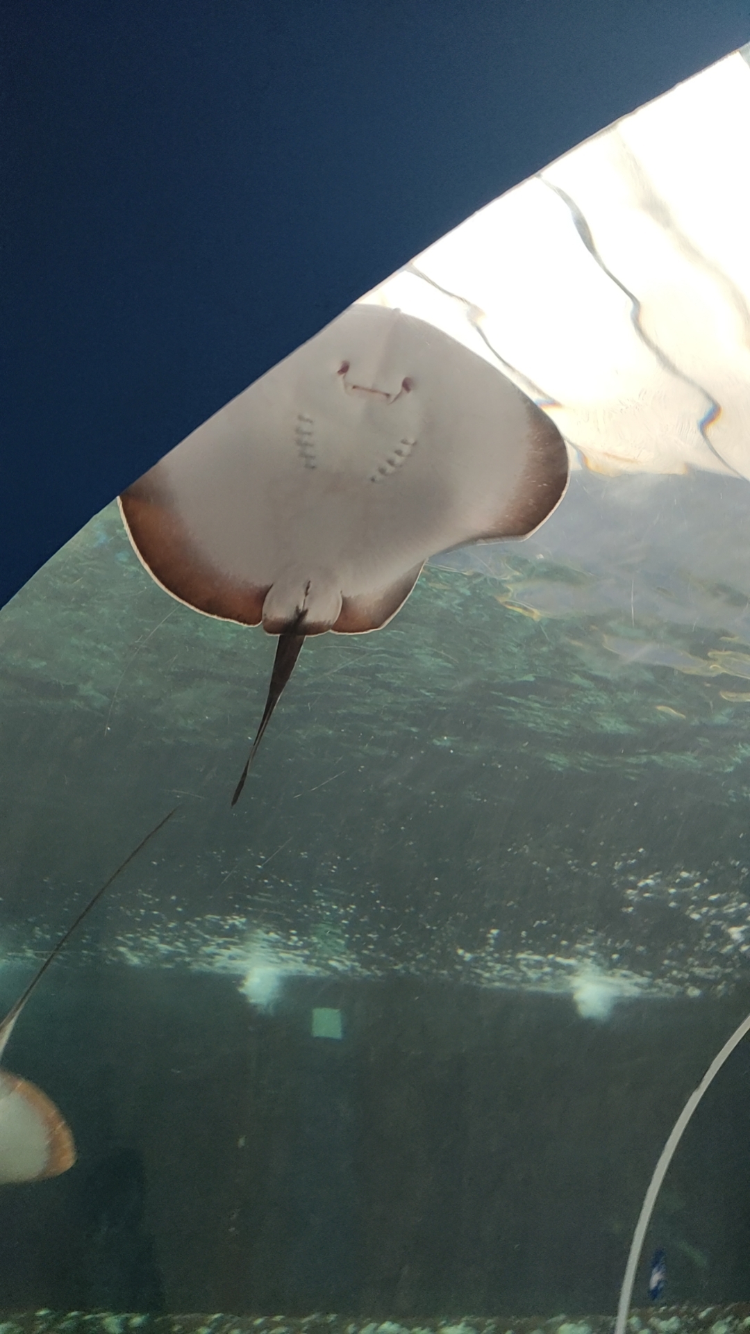 赣榆区海州湾海洋乐园