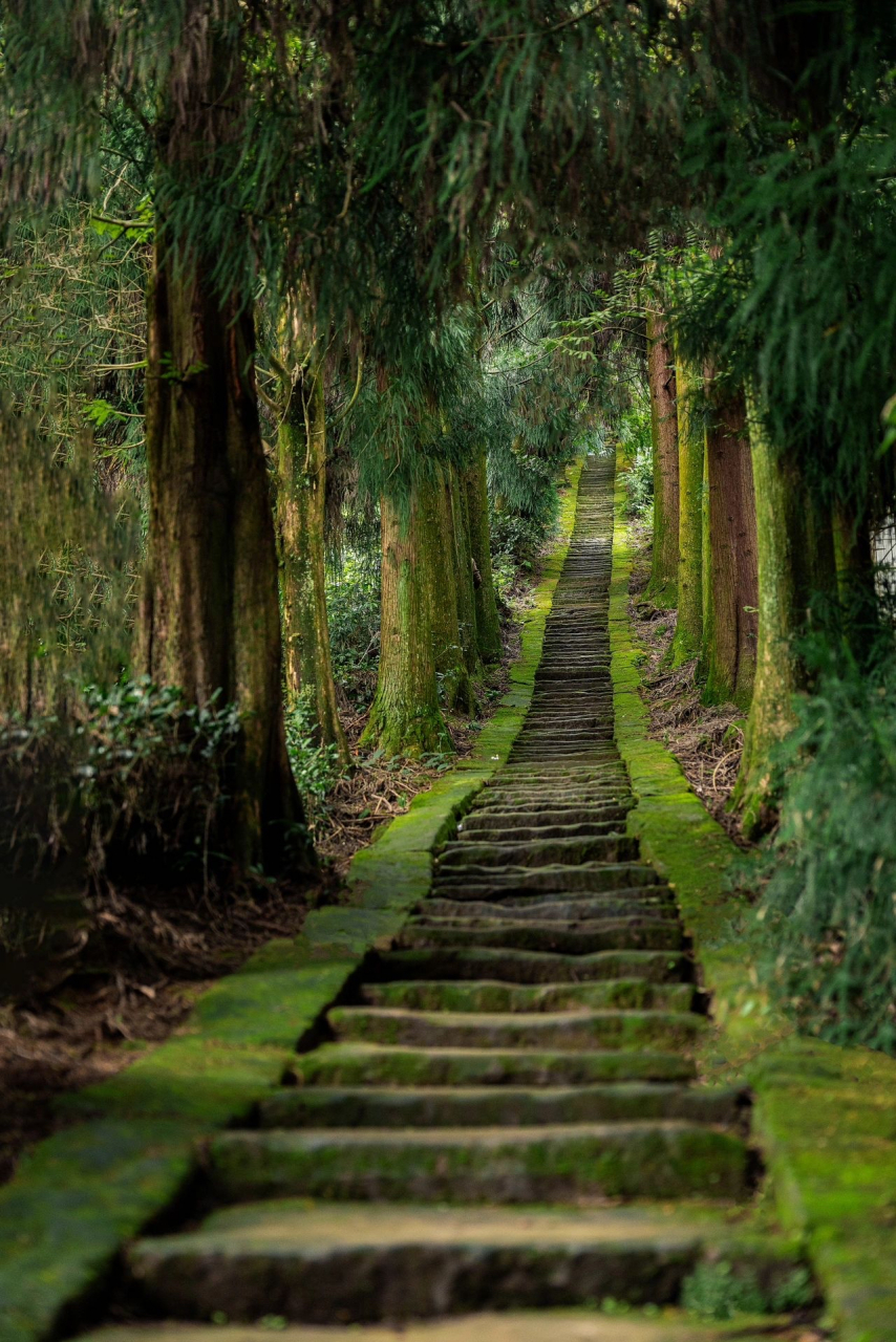 这里是雅安蒙顶山风景名胜区 这里是茶马古道的起点,风景优美,适合