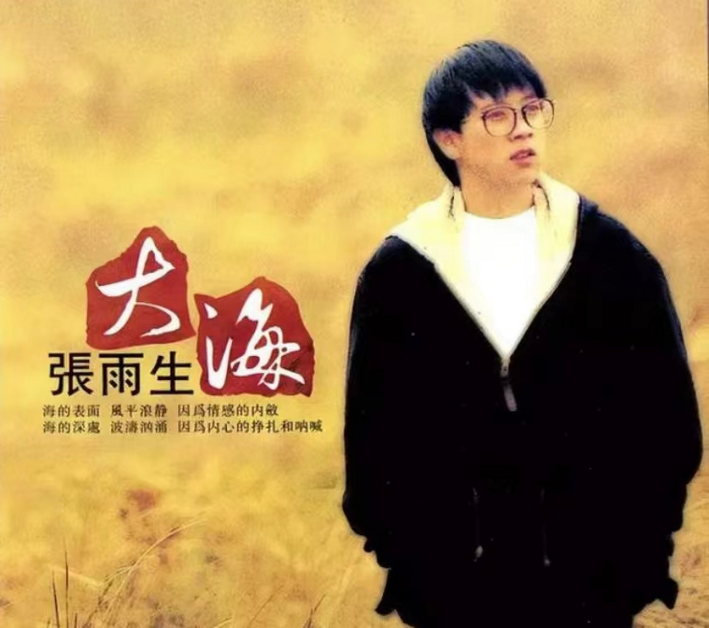 一首《大海》让我们知道了张雨生,他的这首歌是唱到人心里面的歌
