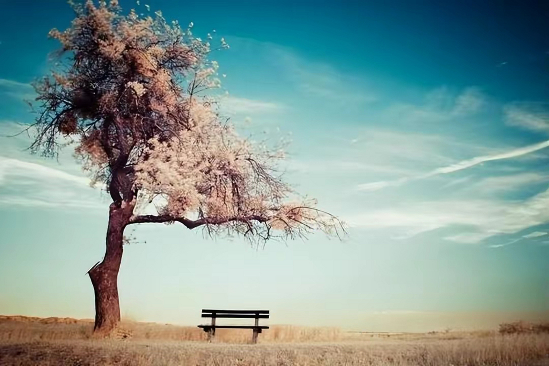 一个人值不值得深交,看这三个细节就知道了  人生在世,只有跟对的人