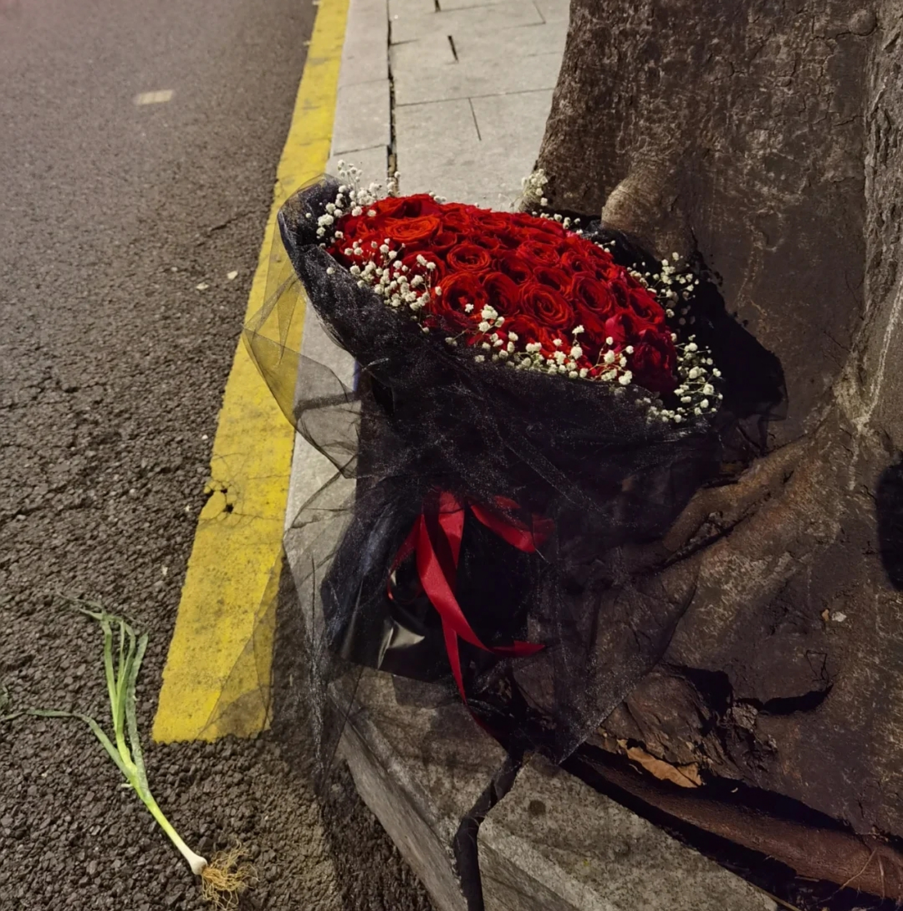 一束被遗弃的红玫瑰,旁边还有一根葱,这是啥意思?