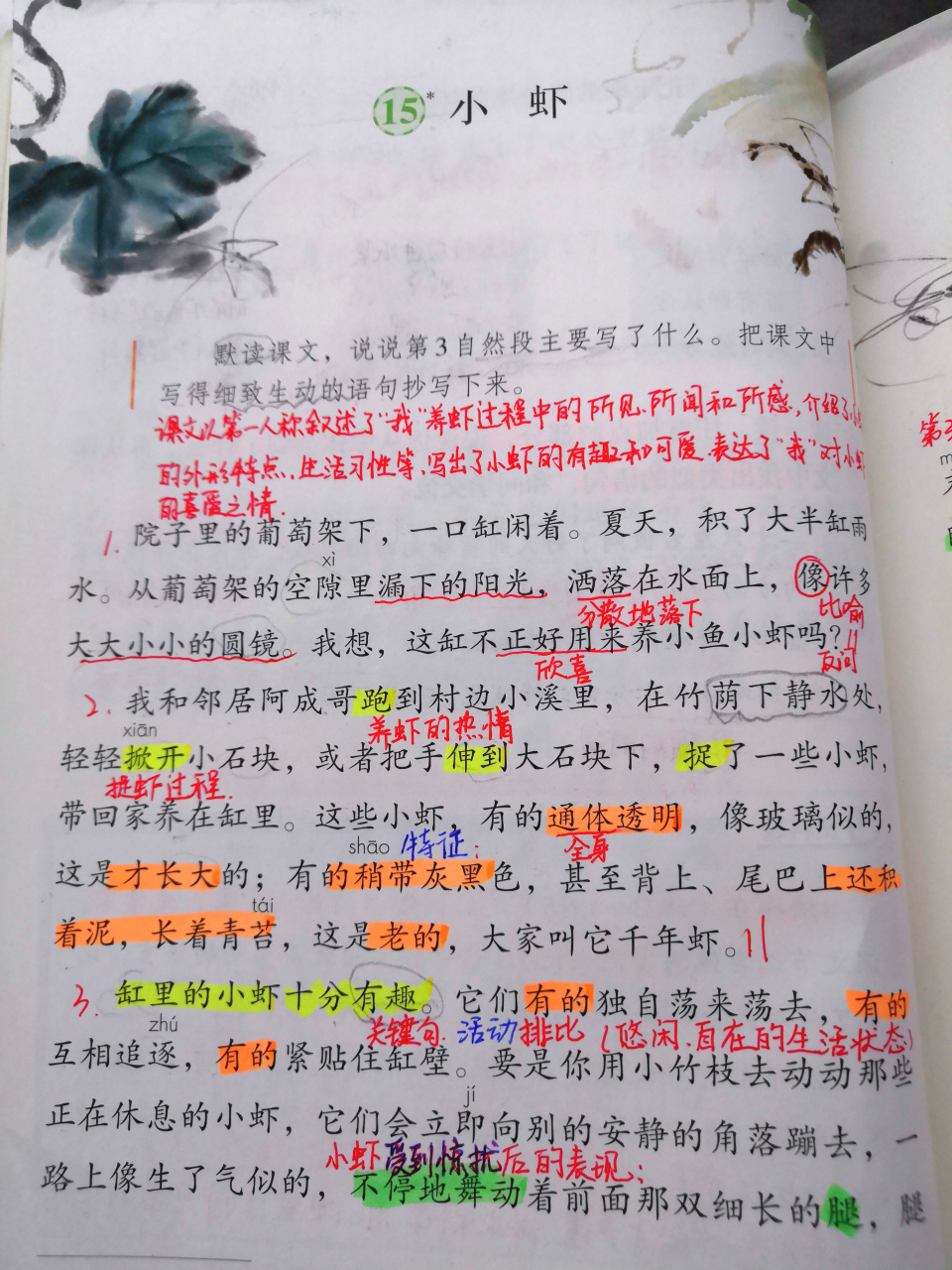 《小虾》课堂笔记图片