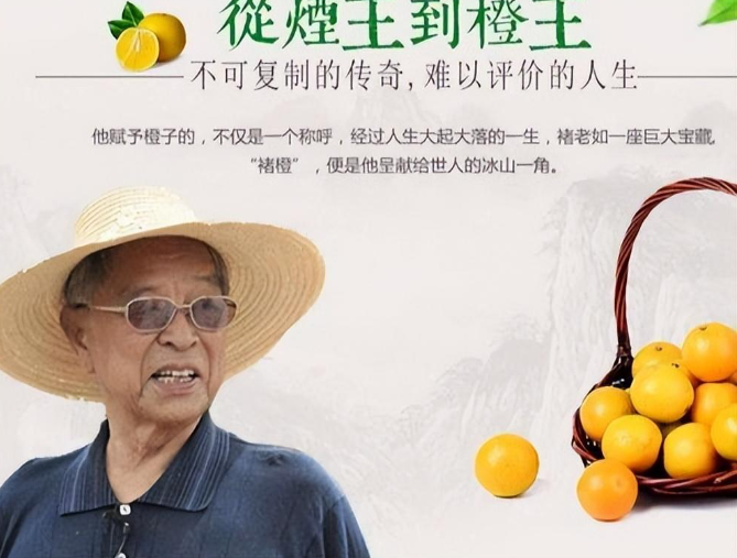 褚时健的百万墓地,豪华气派,引发争议!