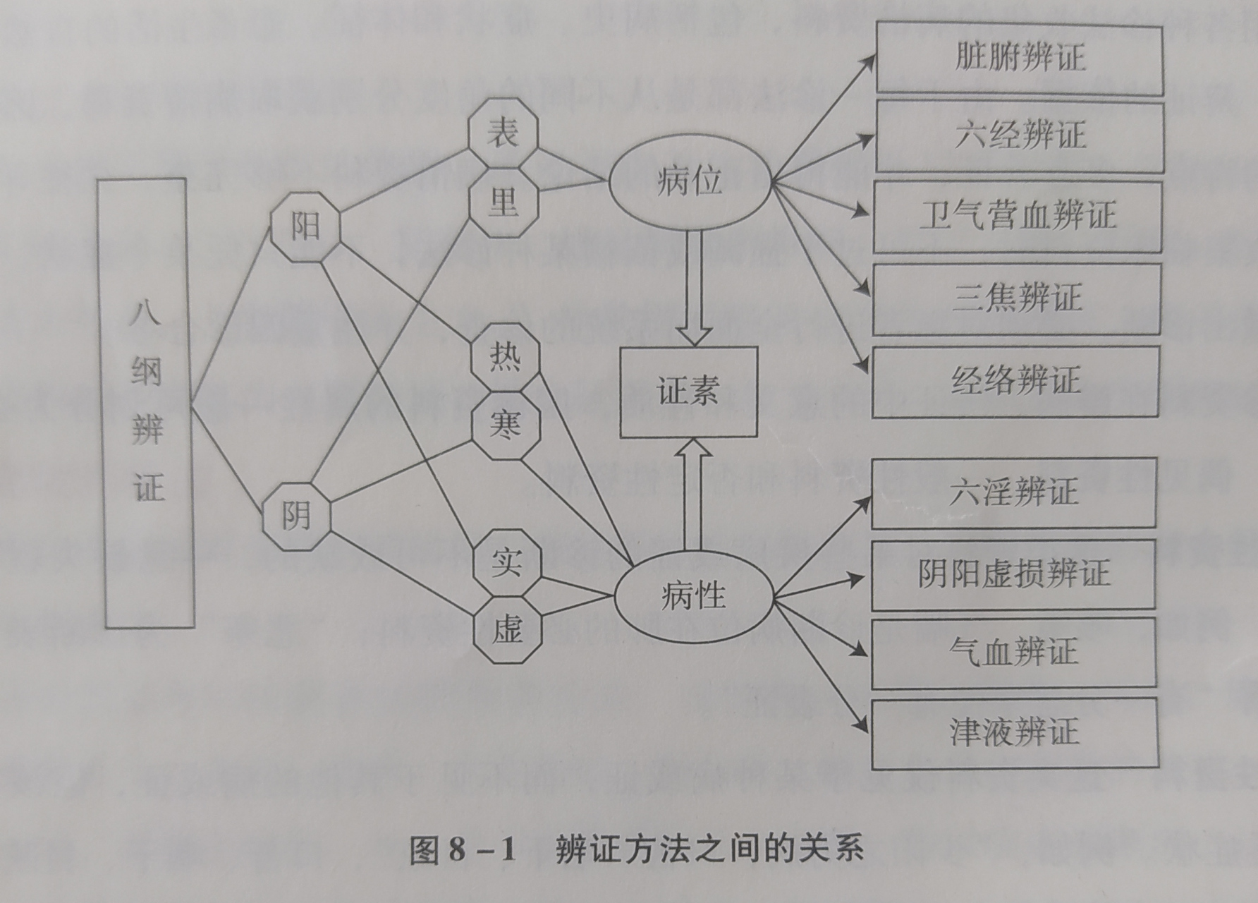 中医辩证方法之间的关系一一八纲辩证,六经辩证,经络辨证,脏腑辩证等