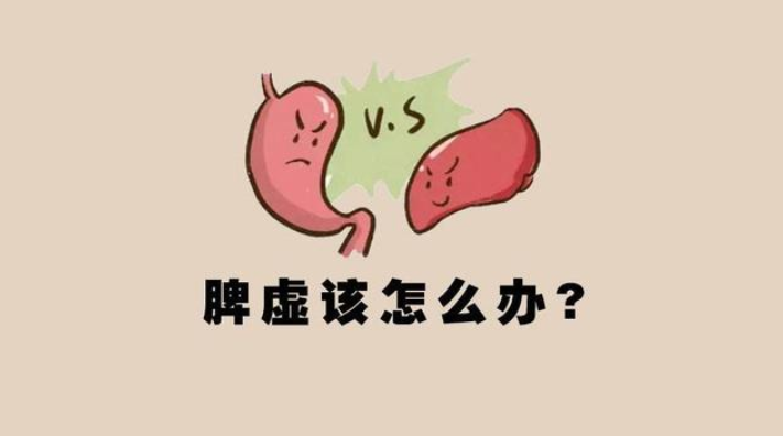 医生:每天若这样做,或有助于除湿健脾胃