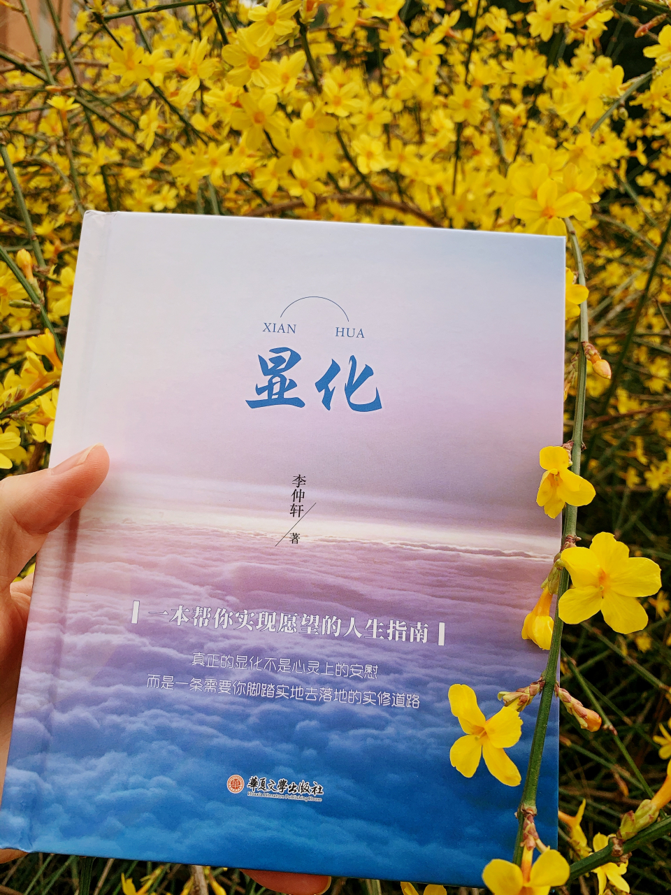 觉者无名李仲轩 #觉者无名李仲轩直播# #李仲轩直播# #觉者无名