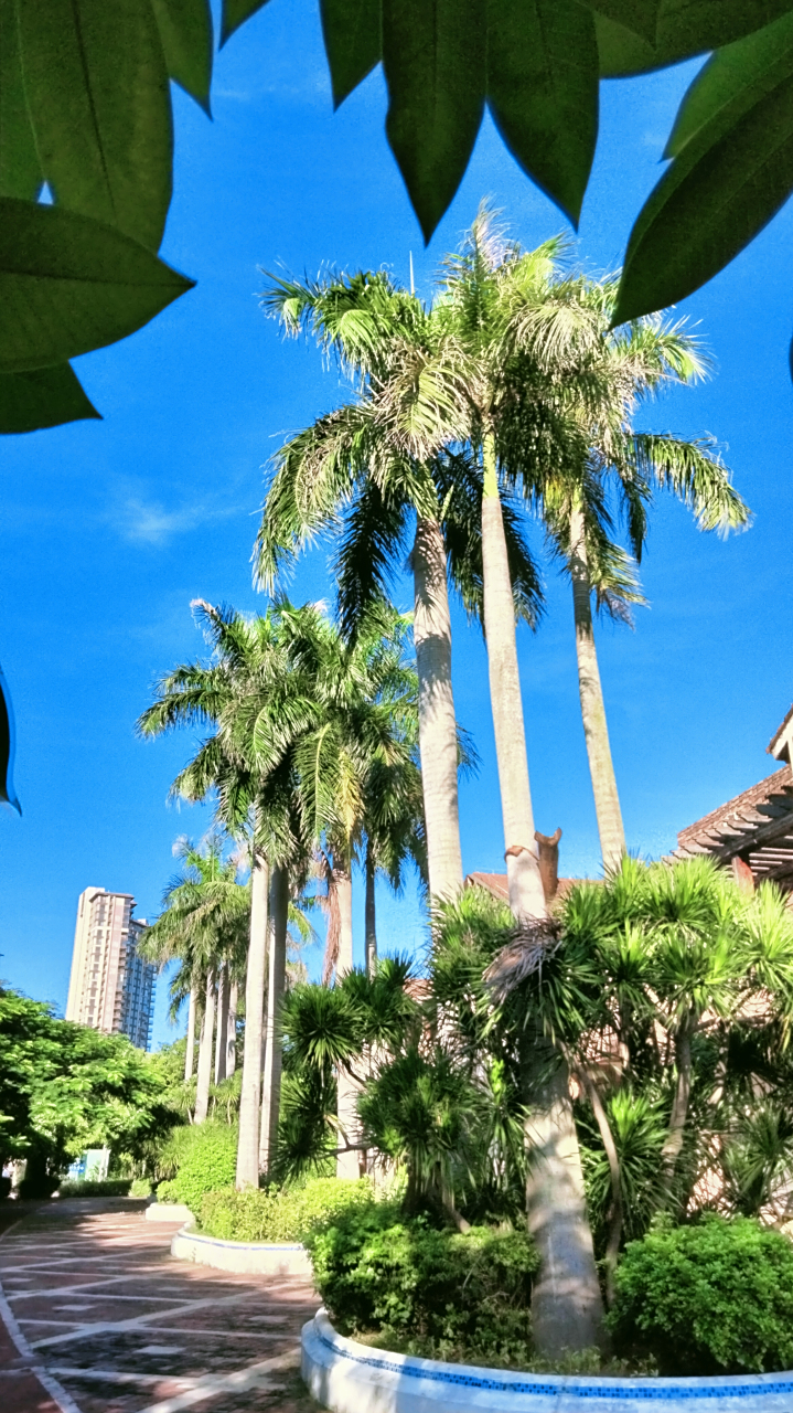 海南澄迈盈滨半岛