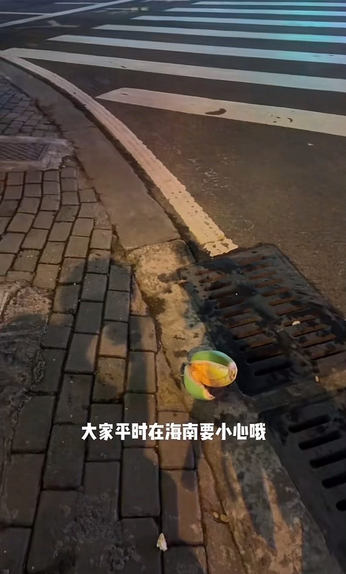 海南一个朋友说大家到海南玩一定要小心啊看看一