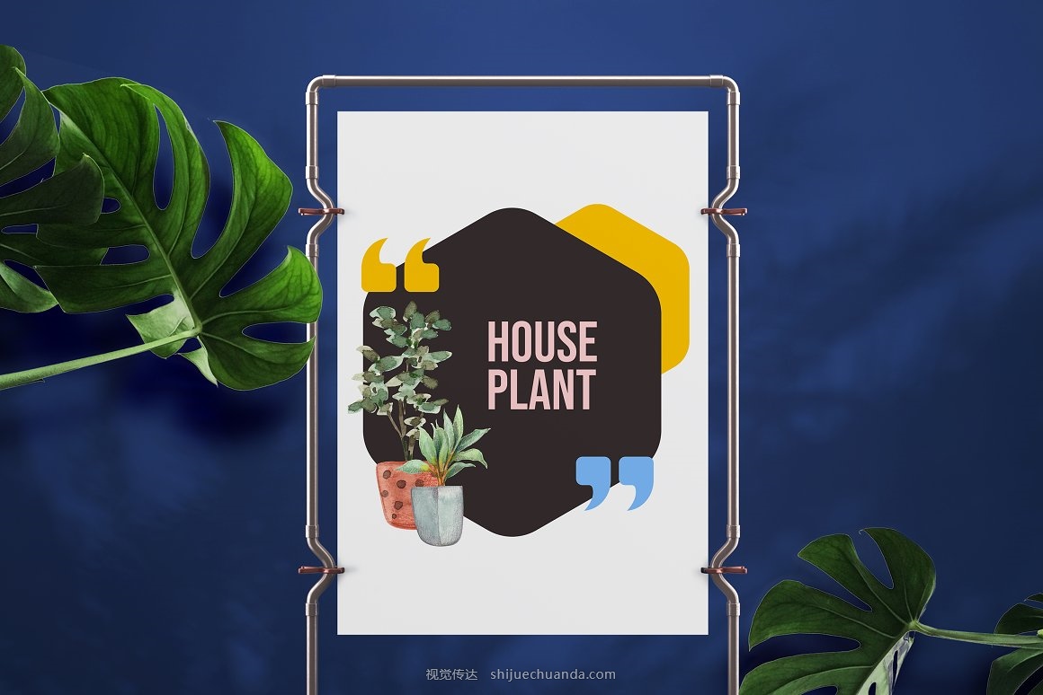 House Plants Watercolor set-6.jpg