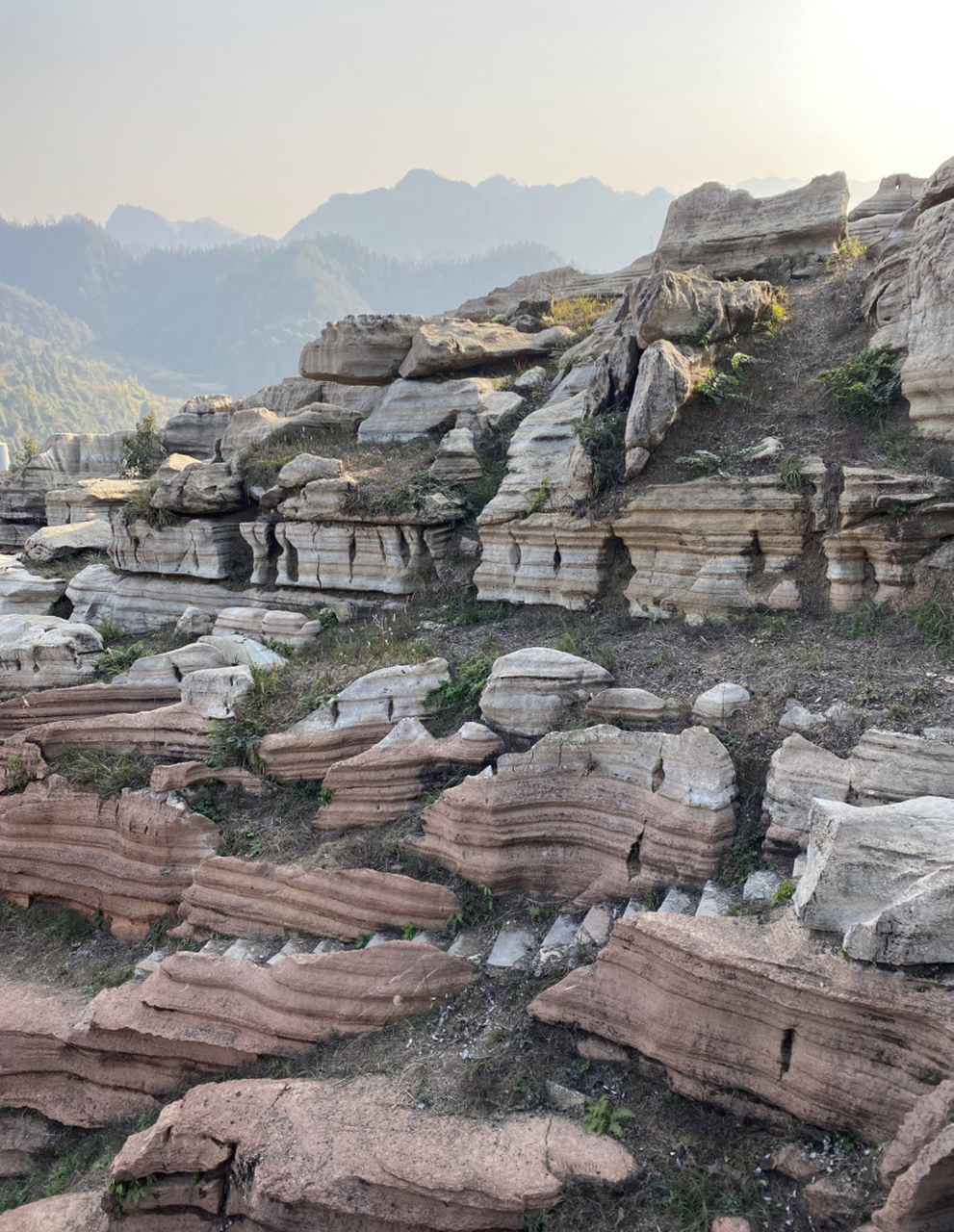 酉阳红石林地质公园是一处充满自然之美和历史文化底蕴的旅游胜地.