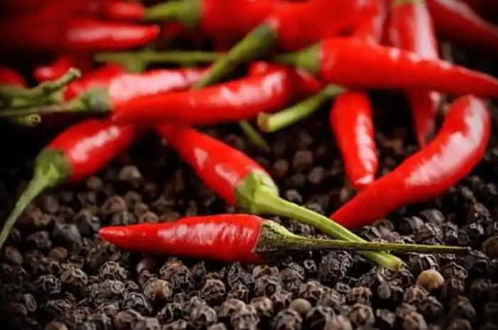 吴京分享月瘦10斤减肥法,多吃辣椒酱油,营养专家反驳:瞎误导