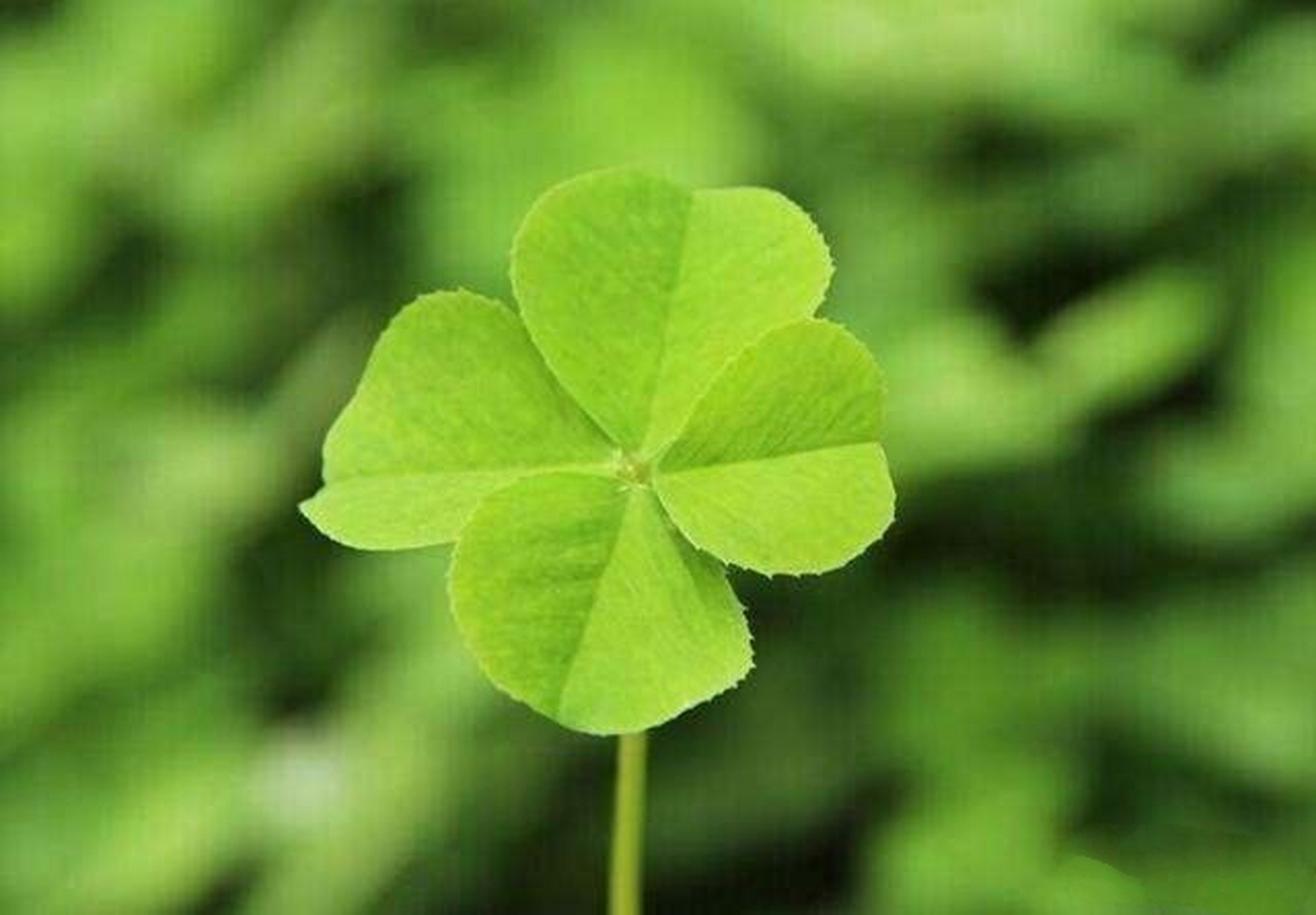 观察远并离你身边是还很丧的人,远丧离逼,可以保命,这命个就是您生的