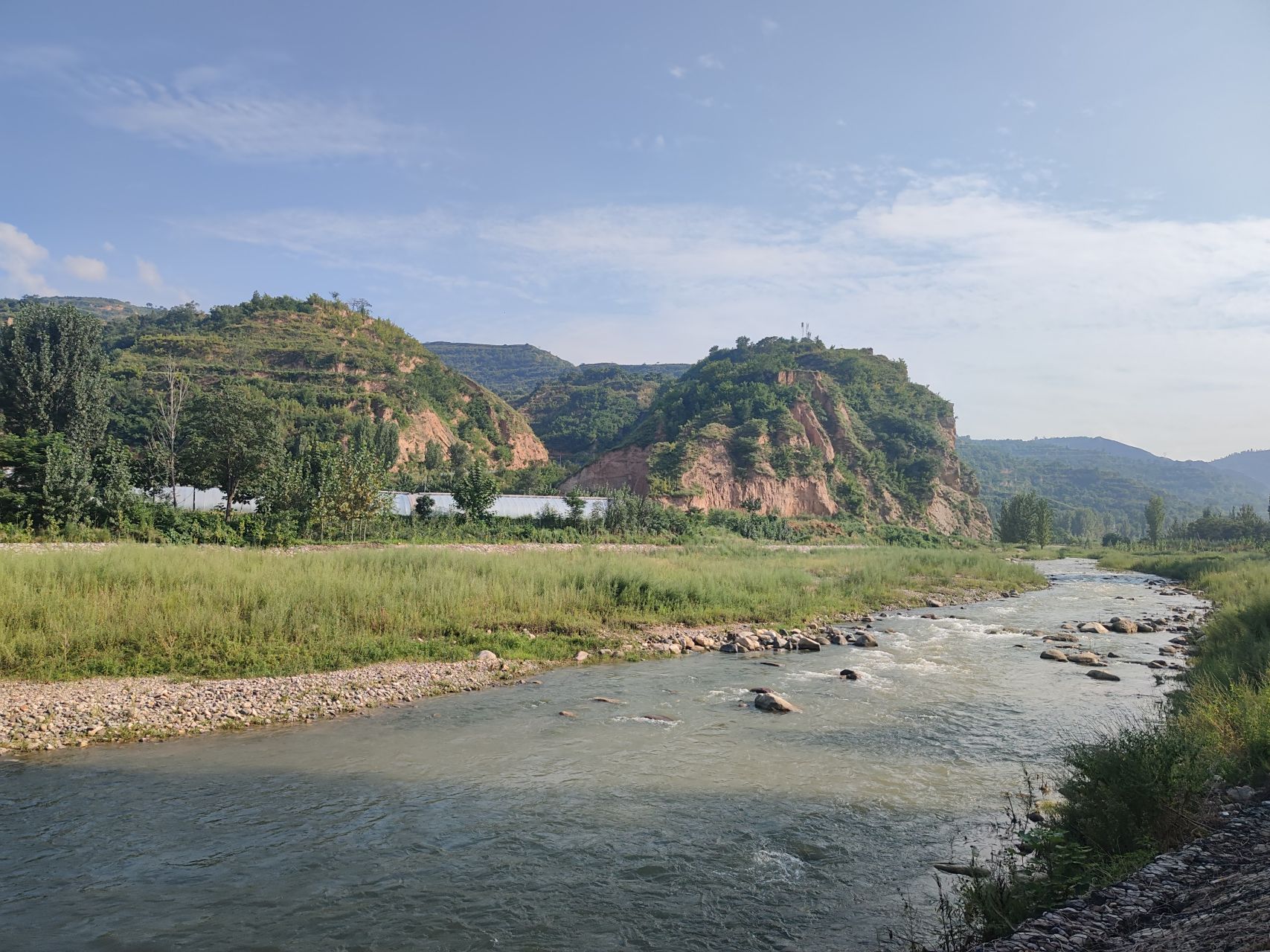 傍晚,我沿着小路走往河边 野草和树丛上的蛛网不断挂在我的脸上 蜘蛛
