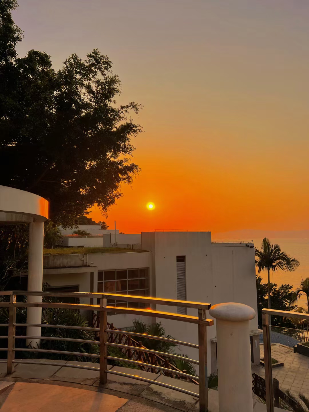 《引诱》作者:一条颜狗(姐弟恋)