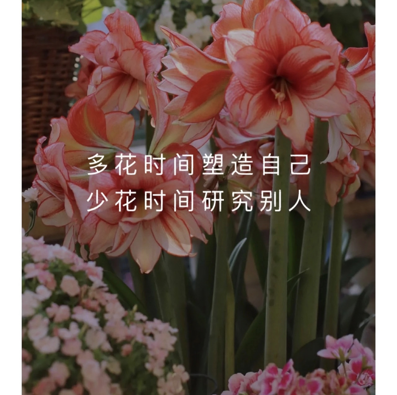 多花时间塑造自己 少花时间研究别人