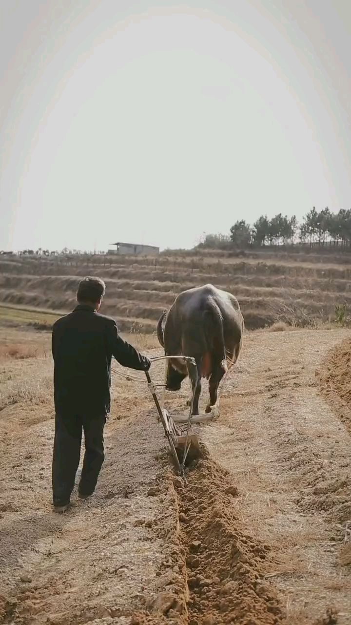 路过看到此情景