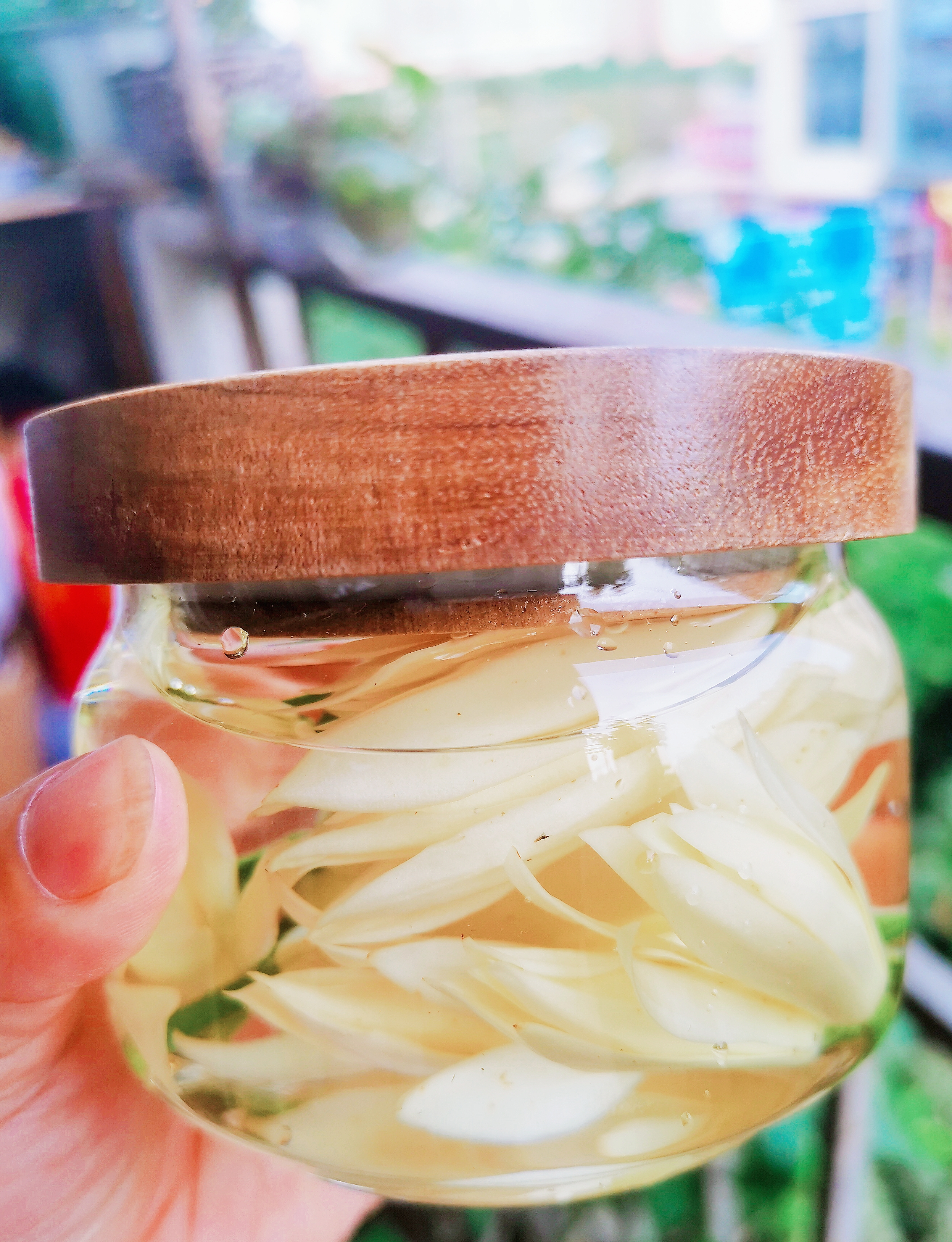 黄角兰泡酒快速止痒蚊虫叮咬