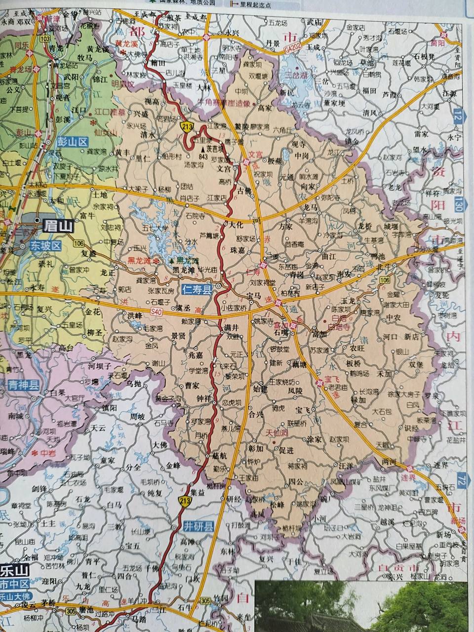 仁寿县的茶叶,天下第一.