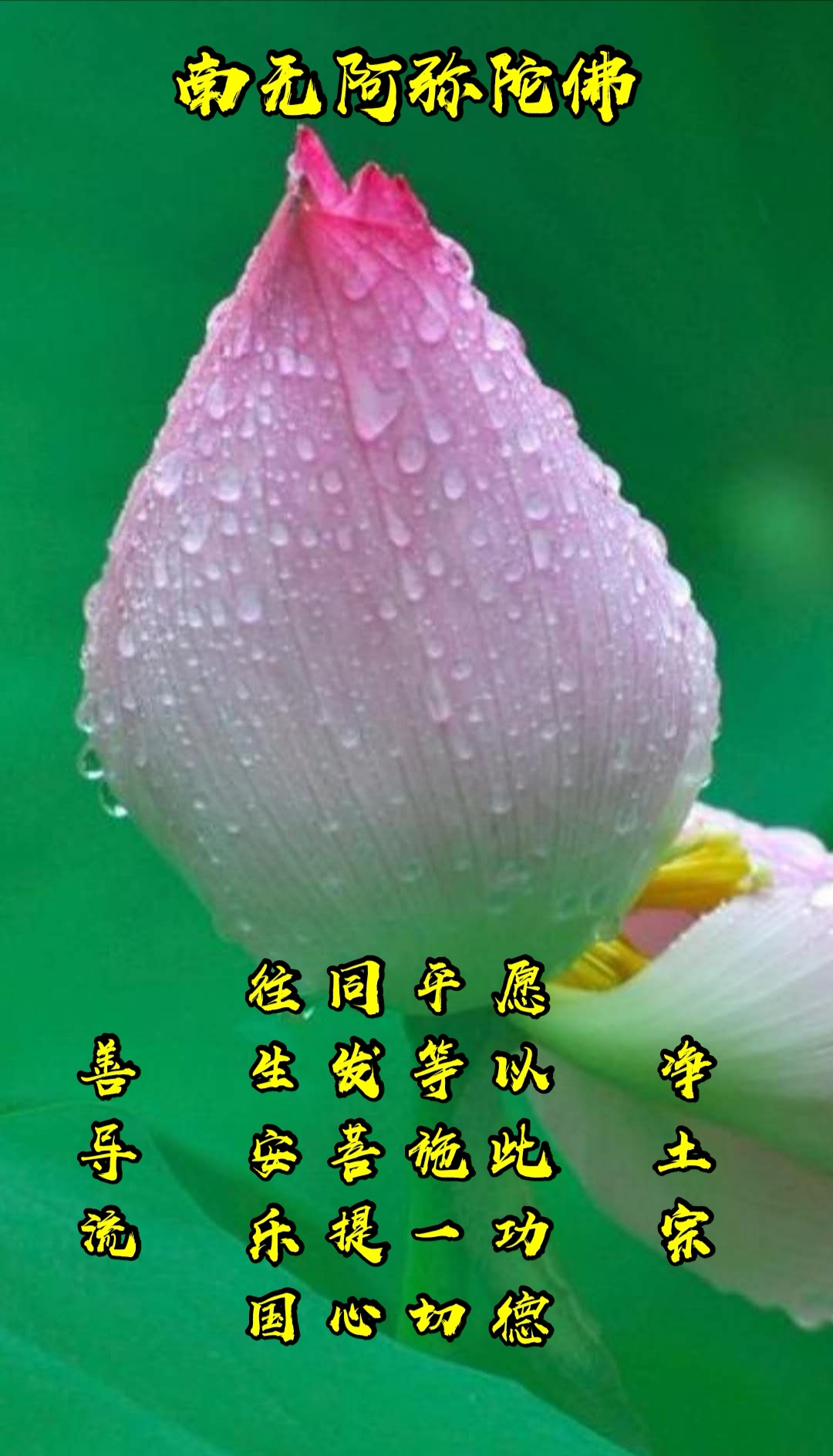 慈悲众生即慈父母