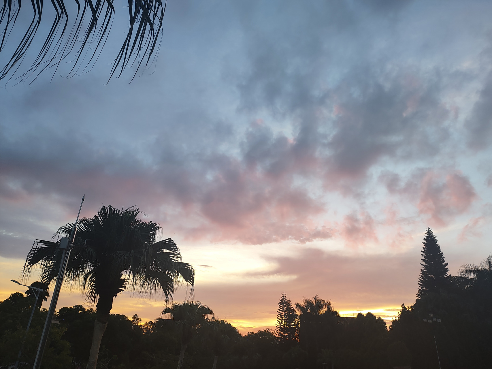 那些年,我遇到的绿茶女孩 上一个动态说我曾遇到一个绿茶女孩,接着说